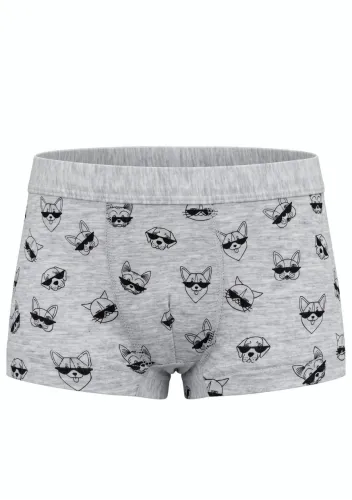 Chlapecké boxerky U241 RISVEGLIA seda